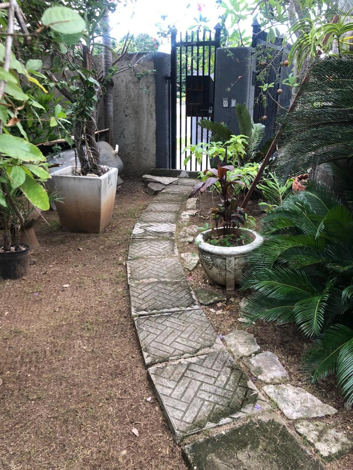 In The Heart Of Kingston Villa Екстериор снимка